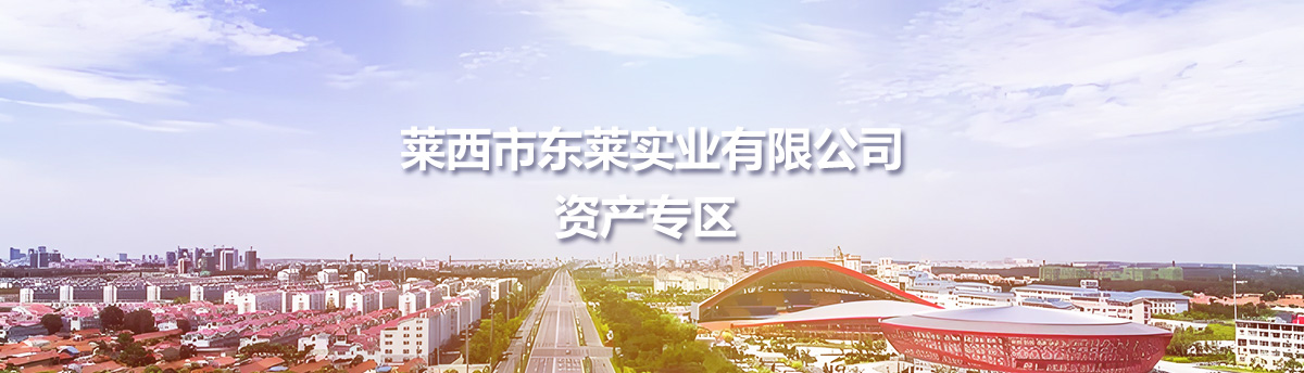 萊西市東萊實(shí)業(yè)有限公司資產(chǎn)專(zhuān)區(qū)